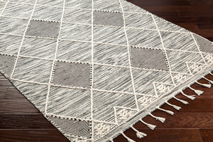 Livabliss Norwood Handwoven Wool Flatweave Rug with Fringe Boho Accent for Entryway or Bedside Black, Cream 2' x 3' NWD2308-23