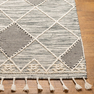 Livabliss Norwood Handwoven Wool Flatweave Rug with Fringe Boho Accent for Entryway or Bedside Black, Cream 2' x 3' NWD2308-23