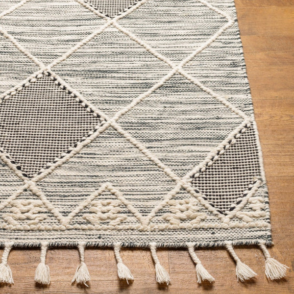 Livabliss Norwood Handwoven Wool Flatweave Rug with Fringe Boho Accent for Entryway or Bedside Black, Cream 2' x 3' NWD2308-23