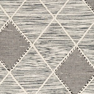 Livabliss Norwood Handwoven Wool Flatweave Rug with Fringe Boho Accent for Entryway or Bedside Black, Cream 2' x 3' NWD2308-23