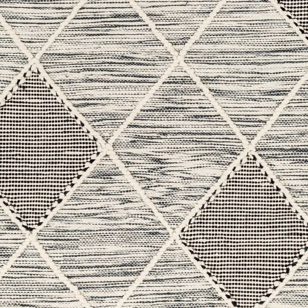 Livabliss Norwood Handwoven Wool Flatweave Rug with Fringe Boho Accent for Entryway or Bedside Black, Cream 2' x 3' NWD2308-23