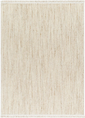 Livabliss New Delhi Global Fringe Accent Rug Turkish Polyester Low Pile Entryway Floor Mat Cream, Light Be 8'11" x 12' NWH2302-81112