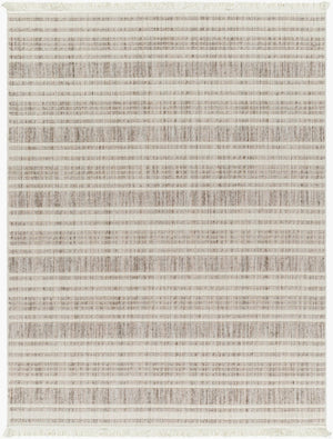 Livabliss New Delhi Global Flatweave Accent Rug with Fringe Border for Entryways and Hallways Cream, Light Gr 8'11" x 12' NWH2304-81112