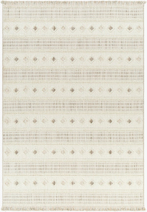 Livabliss New Delhi Moroccan Bohemian Polyester Area Rug with Fringe for Living Dining Rooms NWH2306-81112