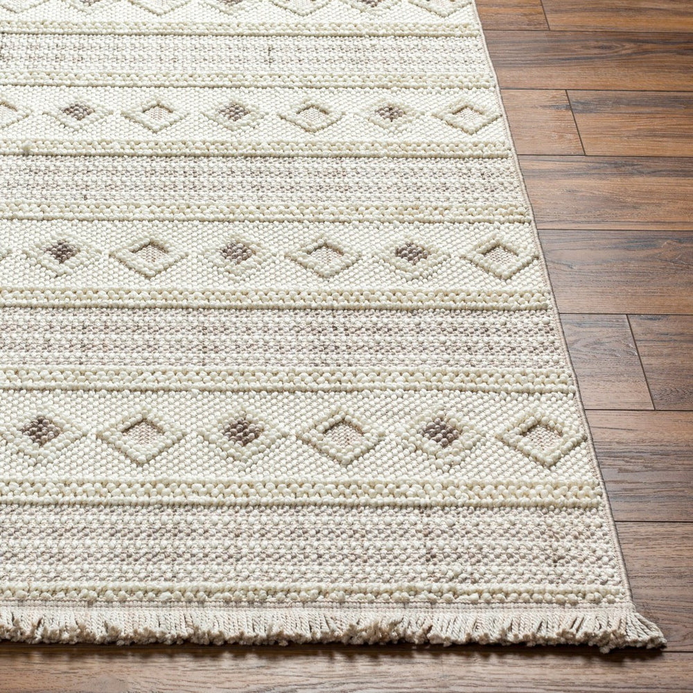 Livabliss New Delhi Moroccan Bohemian Polyester Area Rug with Fringe for Living Dining Rooms NWH2306-81112