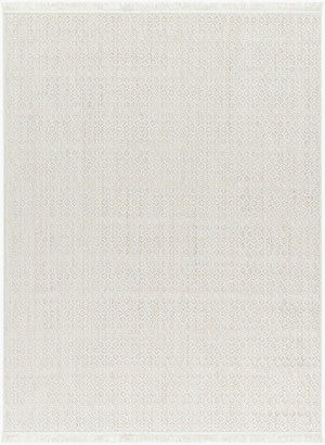 Livabliss New Delhi Moroccan Geometric Fringe Area Rug Low Pile Polyester Bohemian Living Room Cream, Light Gr 8'11" x 12' NWH2308-81112