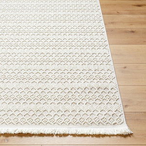 Livabliss New Delhi Moroccan Geometric Fringe Area Rug Low Pile Polyester Bohemian Living Room Cream, Light Gr 8'11" x 12' NWH2308-81112