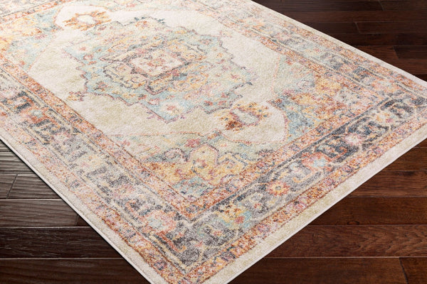 Livabliss New Mexico Traditional Polypropylene Area Rug for Entryways Hallways and Compact Spaces Light Blue, Lig 2' x 2'11" NWM2300-23