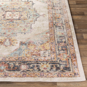Livabliss New Mexico Traditional Polypropylene Area Rug for Entryways Hallways and Compact Spaces Light Blue, Lig 2' x 2'11" NWM2300-23