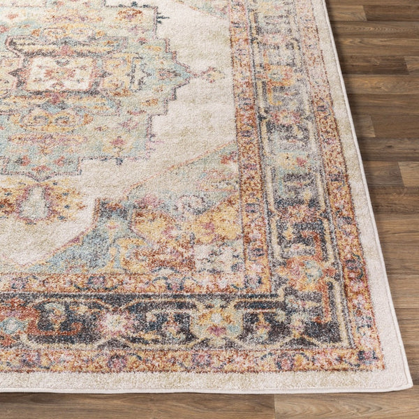 Livabliss New Mexico Traditional Polypropylene Area Rug for Entryways Hallways and Compact Spaces Light Blue, Lig 2' x 2'11" NWM2300-23