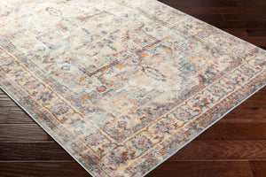 Livabliss New Mexico Southwest Polypropylene Woven Rug for Entryways and High Traffic Halls NWM2305-23