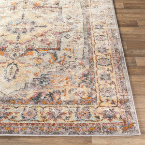 Livabliss New Mexico Southwest Polypropylene Woven Rug for Entryways and High Traffic Halls NWM2305-23