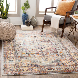 Livabliss New Mexico Southwest Polypropylene Woven Rug for Entryways and High Traffic Halls NWM2305-23