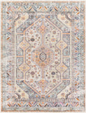 New Mexico NWM-2309 7'10" x 10'2" Machine Woven Rug NWM2309-710103 Livabliss Surya