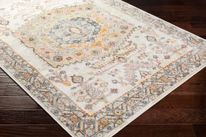 Livabliss New Mexico Geometric Southwestern Polypropylene Accent Rug for Entryways and Bedrooms NWM2312-23