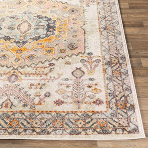 Livabliss New Mexico Geometric Southwestern Polypropylene Accent Rug for Entryways and Bedrooms NWM2312-23