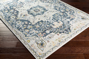 Livabliss New Mexico Global Motif Polypropylene Accent Rug for Entryways and Bohemian Spaces NWM2319-23