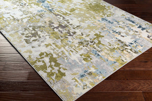 Livabliss New Mexico Bohemian Geometric Polypropylene Accent Rug for Entryways and Small Spaces NWM2333-23