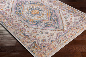 Livabliss New Mexico Collection Traditional Polypropylene Accent Rug for Entryway or Bedside NWM2345-23