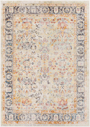 Livabliss New Mexico Collection Traditional Polypropylene Woven Rug for Entryways and Hearths NWM2356-23
