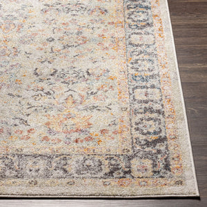 Livabliss New Mexico Collection Traditional Polypropylene Woven Rug for Entryways and Hearths NWM2356-23