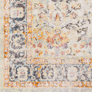 Livabliss New Mexico Collection Traditional Polypropylene Woven Rug for Entryways and Hearths NWM2356-23