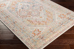 Livabliss New Mexico Geometric Traditional Polypropylene Accent Rug for Entryway or Bedside NWM2364-23