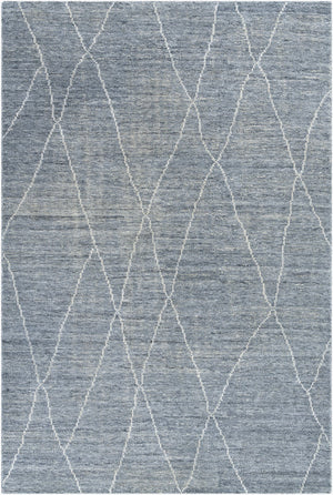 Surya Nalan Eco-friendly 2' X 3' Handmade Rug - Modern Minimalist Design With Comfort & Sustainability Charcoal Recycled Pet Yarn Nyl2301-23