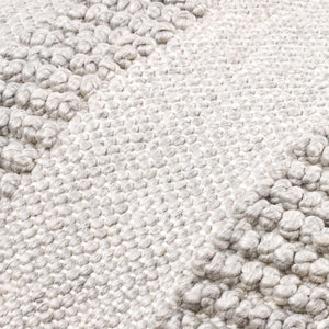 Surya Nysa Accent Pillow - 18" Recycled Pet & Polyester, Soft Luxury, Modern Home Decor, Machine Washable Silver Recycled Pet Yarn,Polyester Nys007-2222d