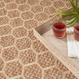 Nourison Reversible Indoor Outdoor RVB01 Machine Made Loom-woven Borderless Design Indoor/Outdoor Modern Outdoor Rug Natural, Natural 89% Polypropylene,11% Polyester 99446974396