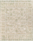 Once Upon a Time OAT-2302 9'10" x 12'6" Machine Woven Rug OAT2302-910126  Olive, Tan, Light Olive, Light Gray, Pale Blue Surya