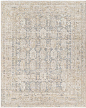 Once Upon a Time OAT-2303 9'10" x 12'6" Machine Woven Rug OAT2303-910126  Tan, Gray, Light Gray, Ivory, Light Brown Surya