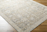 Once Upon a Time OAT-2308 9'10" x 12'6" Machine Woven Rug OAT2308-910126  Light Brown, Light Gray, Ivory, Gray, Tan Surya