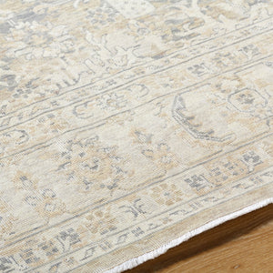 Surya Once Upon A Time Oat-2300 Handmade Wool Area Rug - Enchanting Low Pile Design With Fringe Detail Ivory Wool Oat2310-23