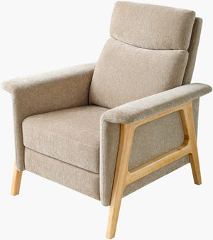 Livabliss Scot Upholstered Manual Recliner with Rubberwood Base for Living Room or Study OCS001-423638