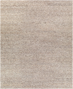Odessa ODS-2302 8' x 10' Handmade Rug ODS2302-810  Dark Brown, Brown, Medium Gray, Taupe, Beige Surya