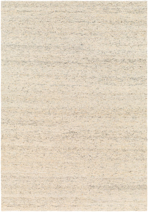 Odessa ODS-2304 6' x 9' Handmade Rug ODS2304-69  Beige, Cream, Charcoal, Brown, Light Gray Surya