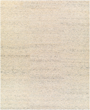 Odessa ODS-2304 8' x 10' Handmade Rug ODS2304-810  Beige, Cream, Charcoal, Brown, Light Gray Surya