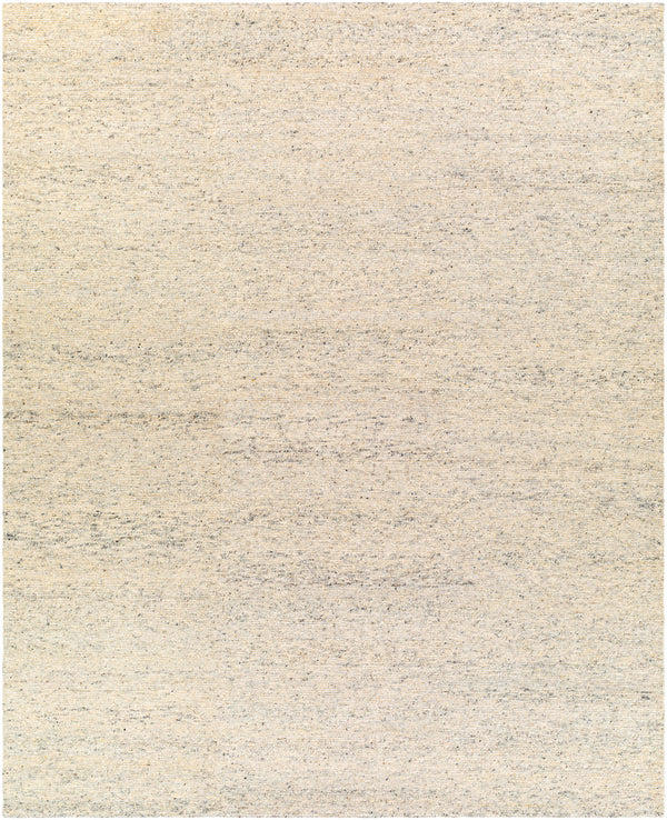 Odessa ODS-2304 8' x 10' Handmade Rug ODS2304-810  Beige, Cream, Charcoal, Brown, Light Gray Surya