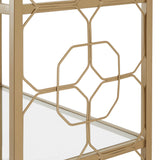 Homelegance By Top-Line Doxie Octagon Pattern Gold Metal and Glass Bookcase Gold Metal