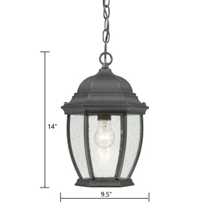 Atlas Covington 9.5'' Wide 1-Light Outdoor Pendant - Timeless Black Fixture for Entryways & Porches OL11027-BK