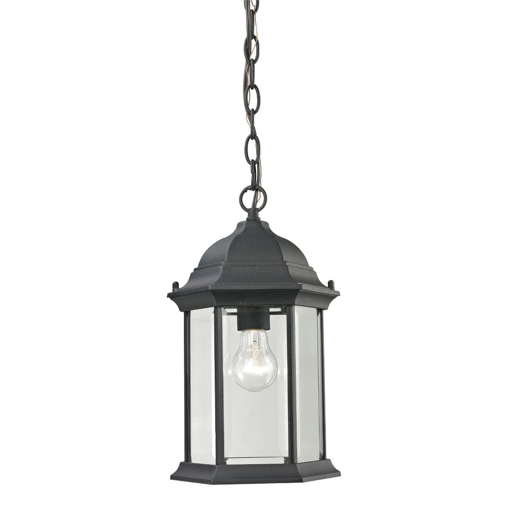 Atlas Spring Lake 8" Wide Outdoor Pendant Light - Classic Lantern Style for Porch & Patio Illumination OL11046-BK