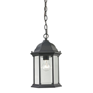 Atlas Spring Lake 8" Wide Outdoor Pendant Light - Classic Lantern Style for Porch & Patio Illumination OL11046-BK