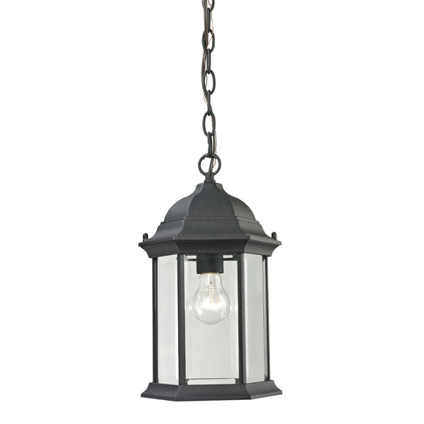 Atlas Spring Lake 8" Wide Outdoor Pendant Light - Classic Lantern Style for Porch & Patio Illumination OL11046-BK