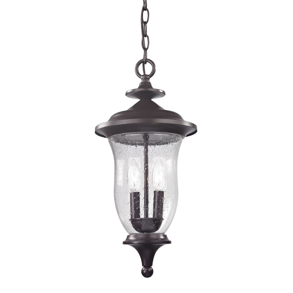 Atlas Trinity 9" Wide 2-Light Outdoor Pendant - Elegant Oil Rubbed Bronze with Clear Seeded Glass Charm OL11048-BZ