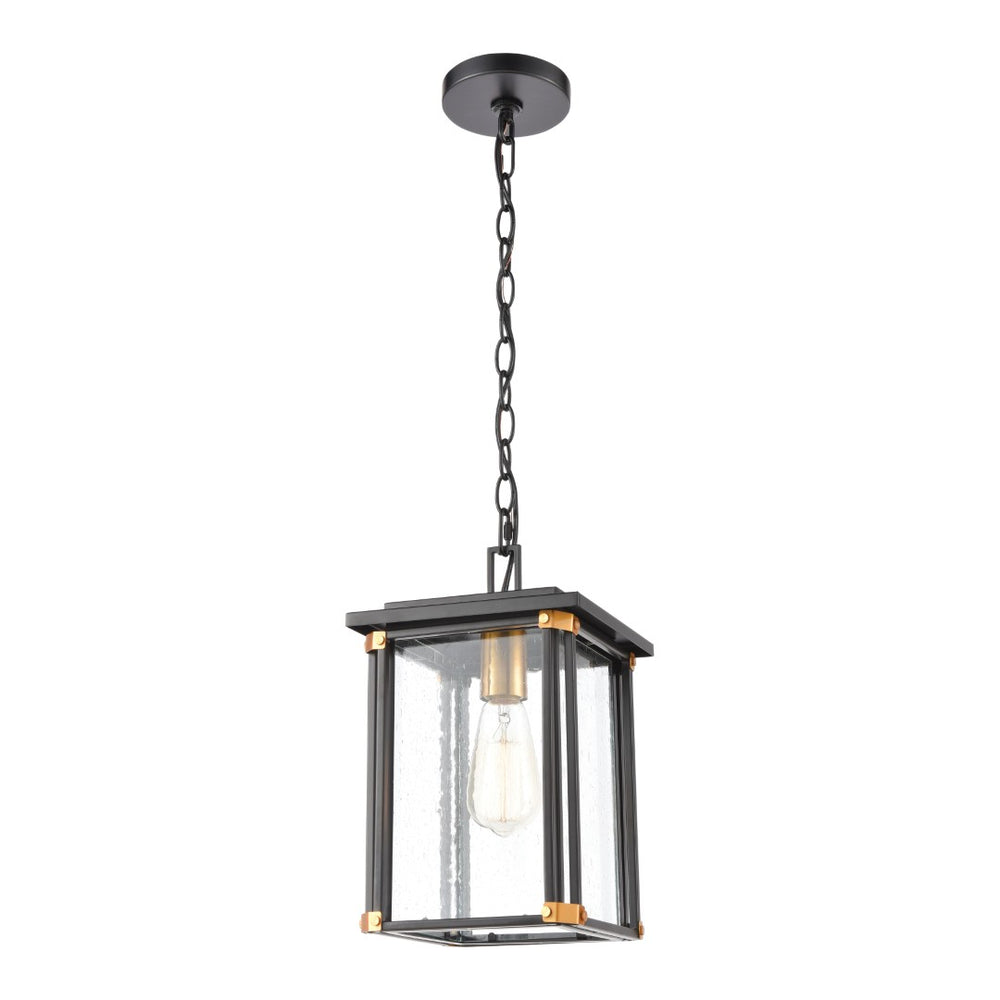 Atlas Vincentown 8'' Wide 1-Light Outdoor Pendant - Modern Matte Black with Brass Accents for Patios OL11050-BK