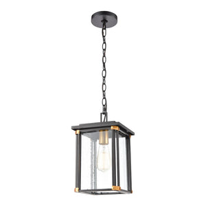 Atlas Vincentown 8'' Wide 1-Light Outdoor Pendant - Modern Matte Black with Brass Accents for Patios OL11050-BK