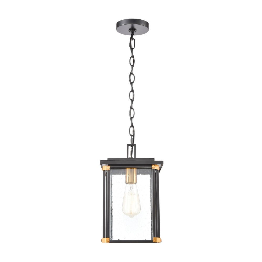Atlas Vincentown 8'' Wide 1-Light Outdoor Pendant - Modern Matte Black with Brass Accents for Patios OL11050-BK