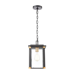 Atlas Vincentown 8'' Wide 1-Light Outdoor Pendant - Modern Matte Black with Brass Accents for Patios OL11050-BK