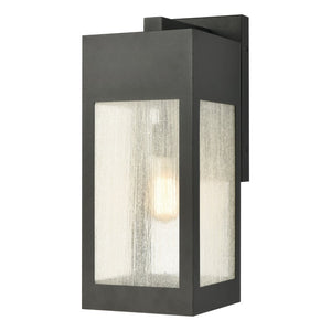 Atlas Angus 20'' High Modern Outdoor Wall Sconce with Heavily Seeded Glass for Warm Ambiance Charcoal 8'' OL11062-BK